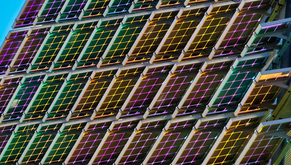 توزیع منطقه و منظره رقابتی