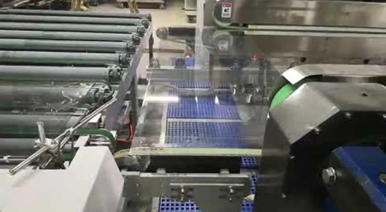 ویدئوی خودکار